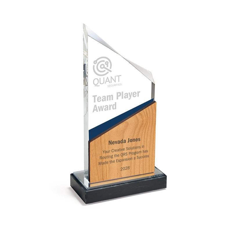 Abstract Cut Acrylic Award