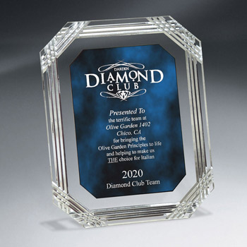 Diamond Carve Lucite Octagon Plaque