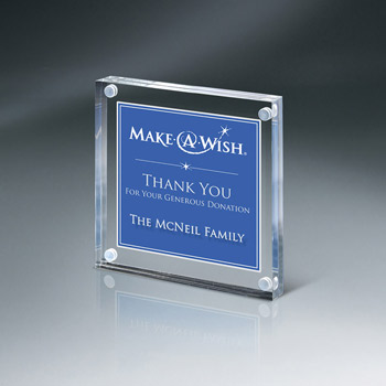 Lucite Magnetic Entrapment (med)