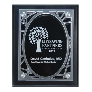 Frosted Acrylic Decorative Edge Cutout on Black Plaque