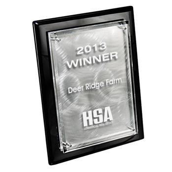 Ebony Plaque w/ Silver Swirl Plate (sml)